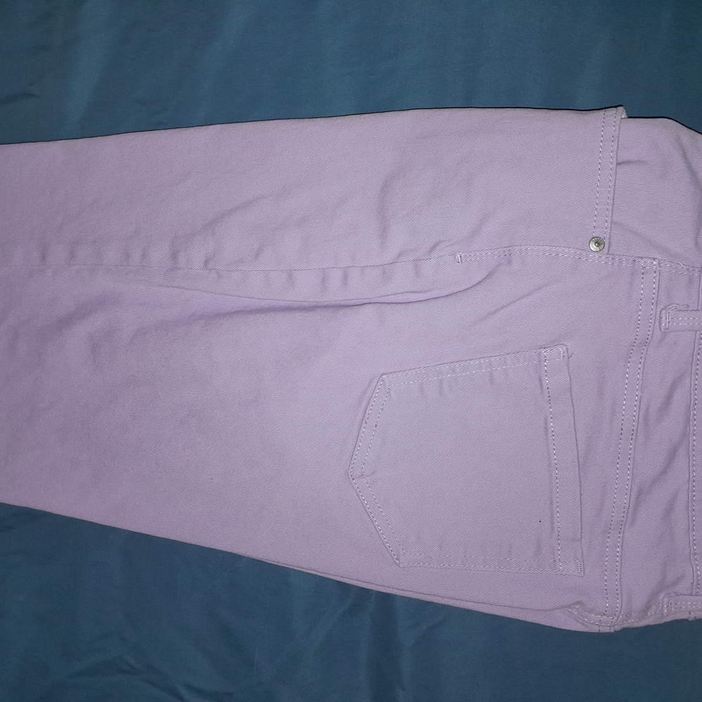 Gloria Vanderbilt Purple Skinny Jeans